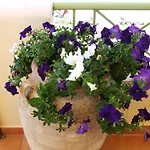 Appartamento Ktima Develekou Pigadhia (Argolis)