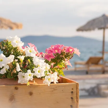 Ktima Develekou Apartmán *