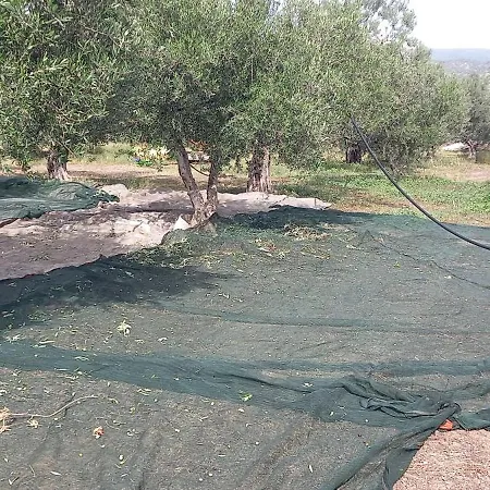 Lejlighed Ktima Develekou Pigadhia (Argolis)