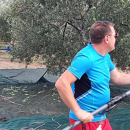 Ktima Develekou * Pigadhia (Argolis)