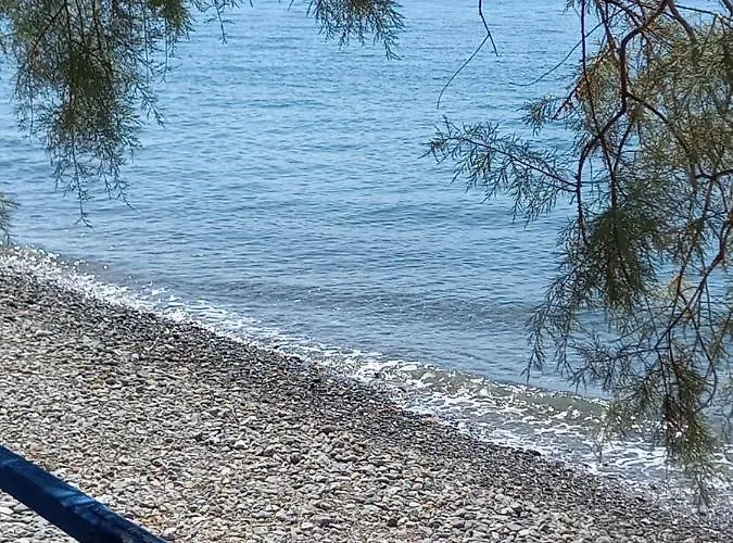 Ktima Develekou * Pigadhia (Argolis)