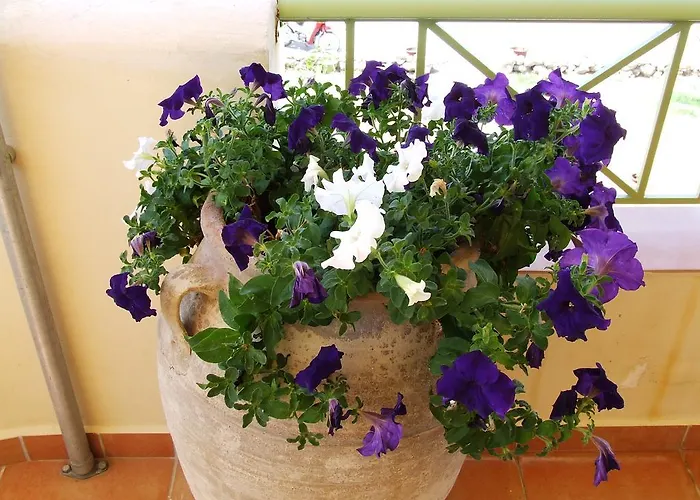 Appartement Ktima Develekou Pigadhia (Argolis)